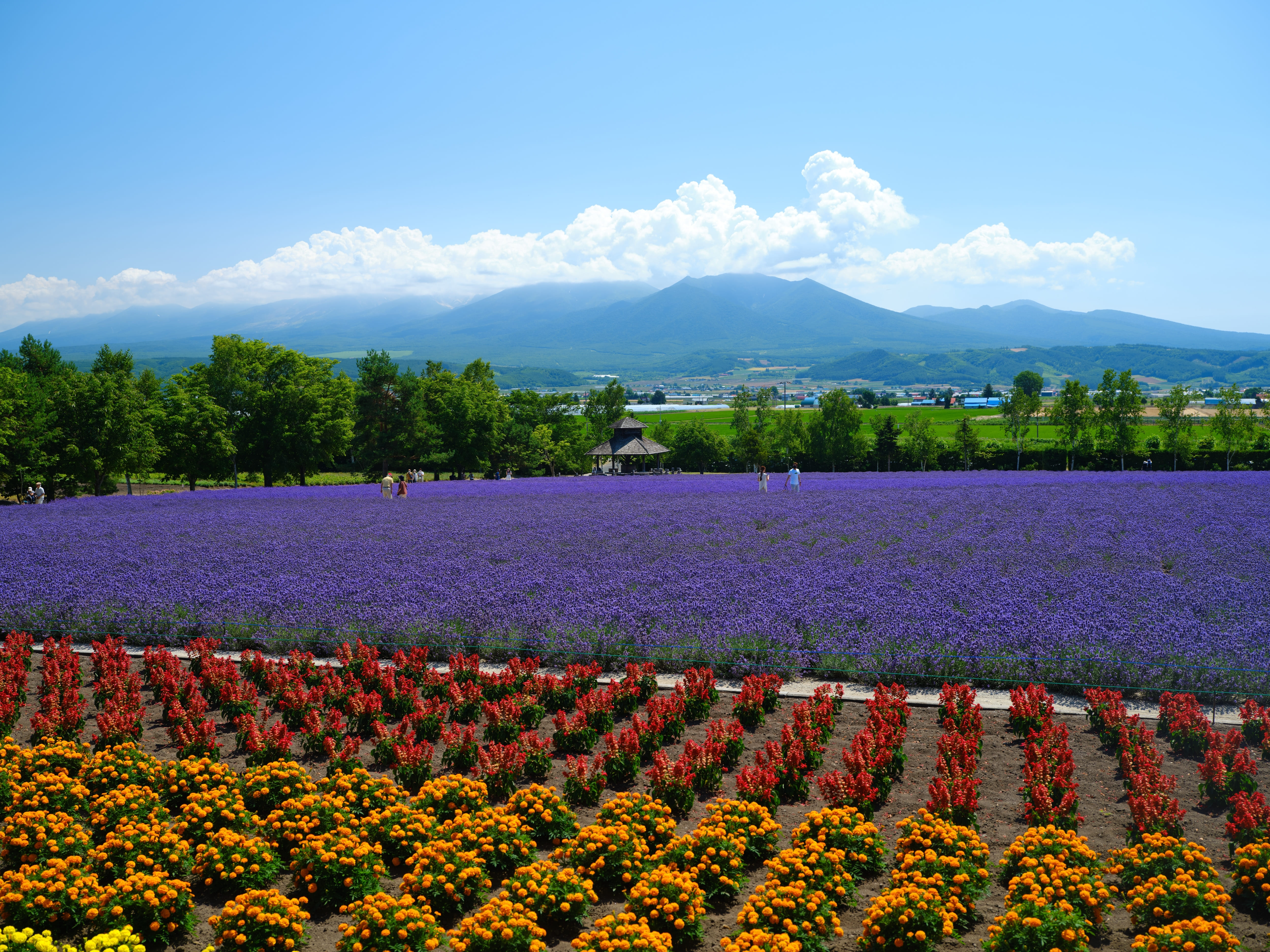 北海道のキャンピングカー旅