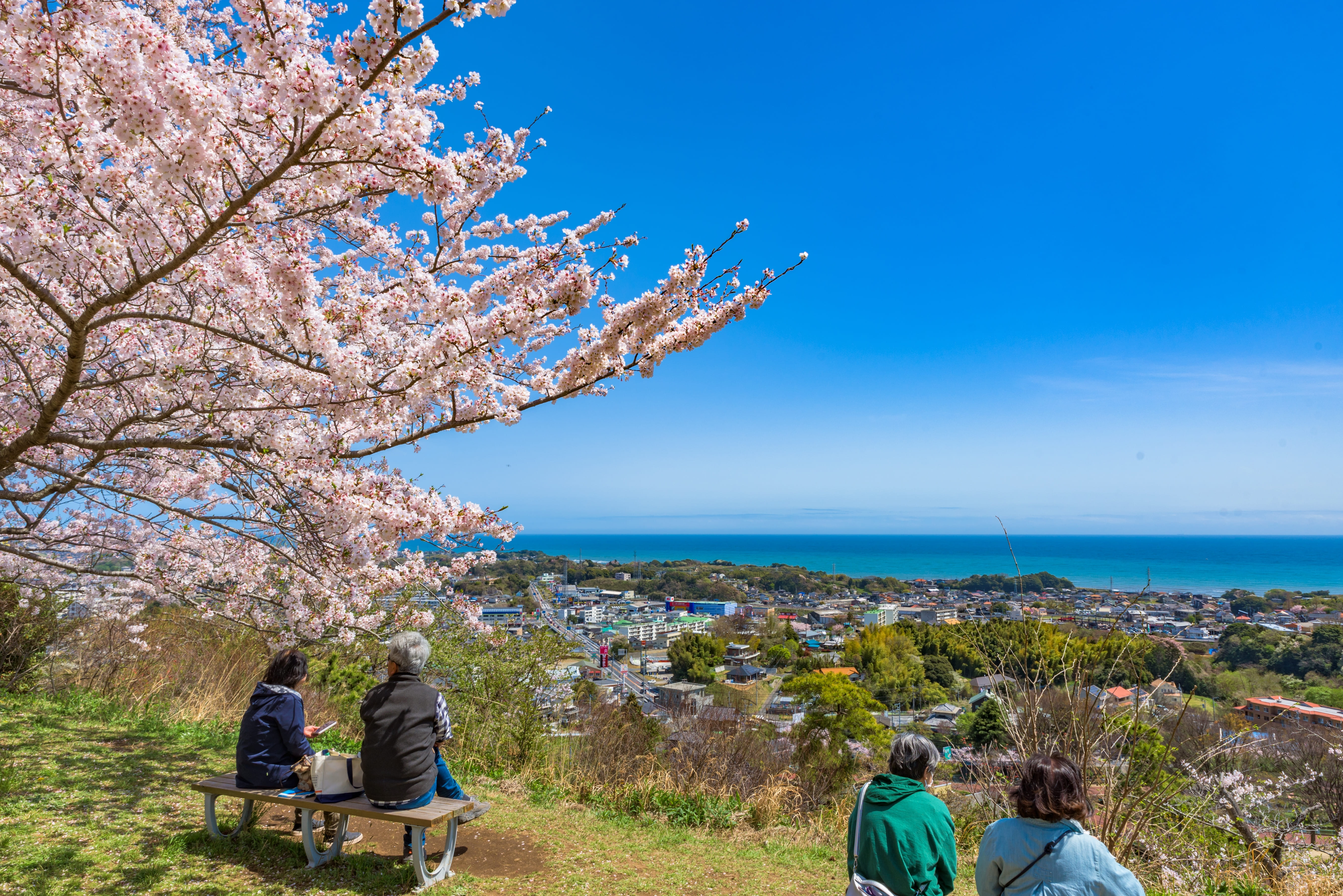 茨城県のキャンピングカー旅