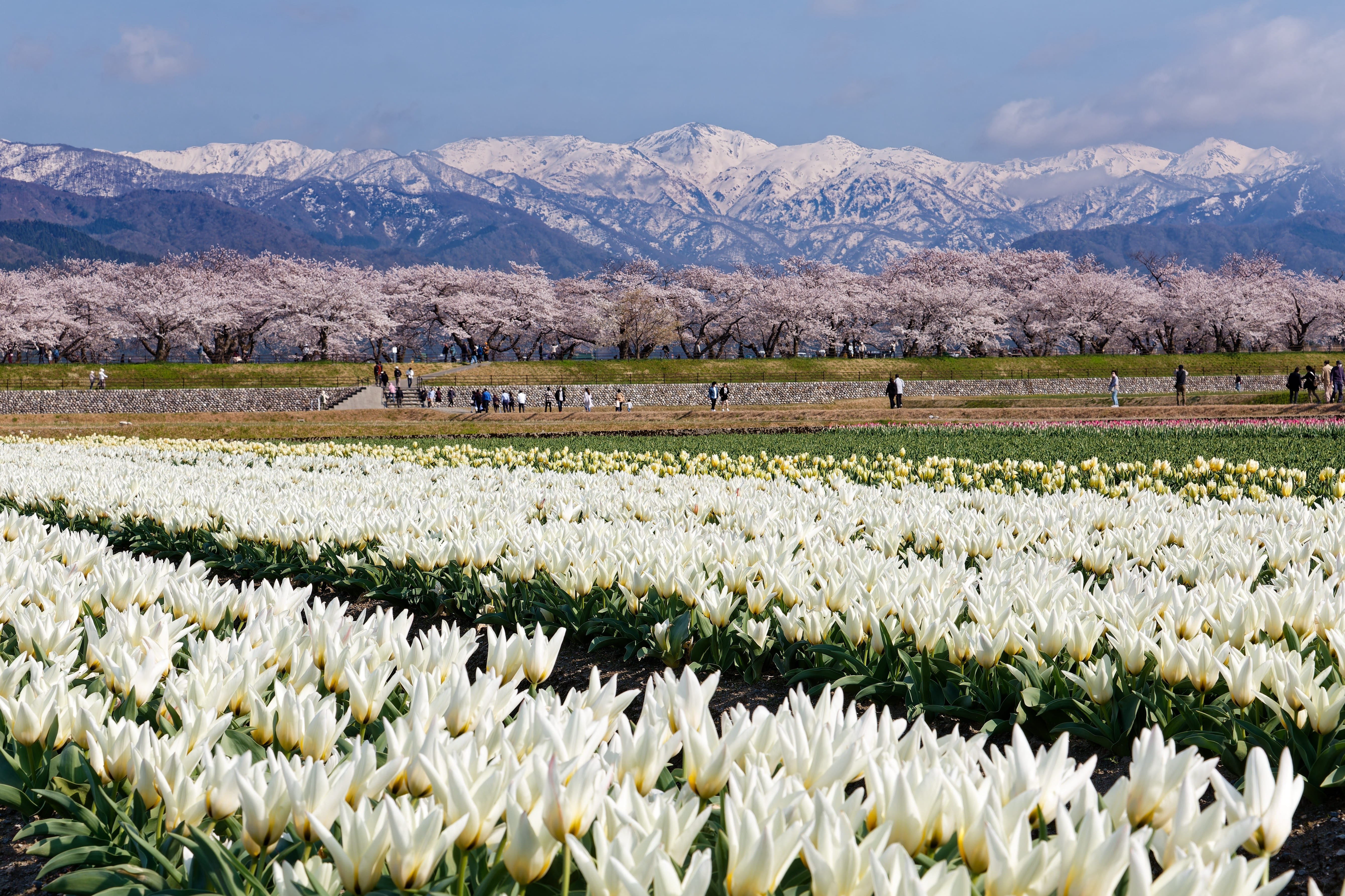 富山県のキャンピングカー旅