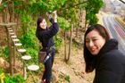 Top 12 Sightseeing Spots in Tsukuba as Recommended by Ibaraki Prefecture's Tsukuba Tourism Ambassador