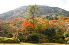 【読者プレゼントあり】秋の行楽シーズンにおすすめ！西日本でレンタルできるキャンピングカー10選