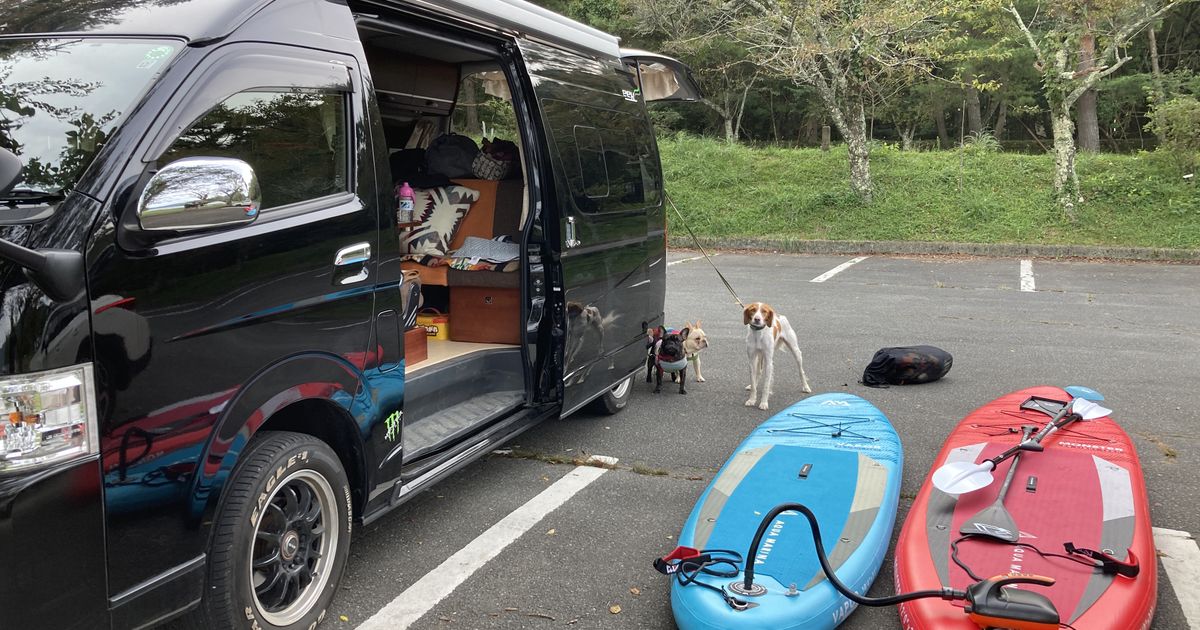 安い 車中泊に同行できるペット