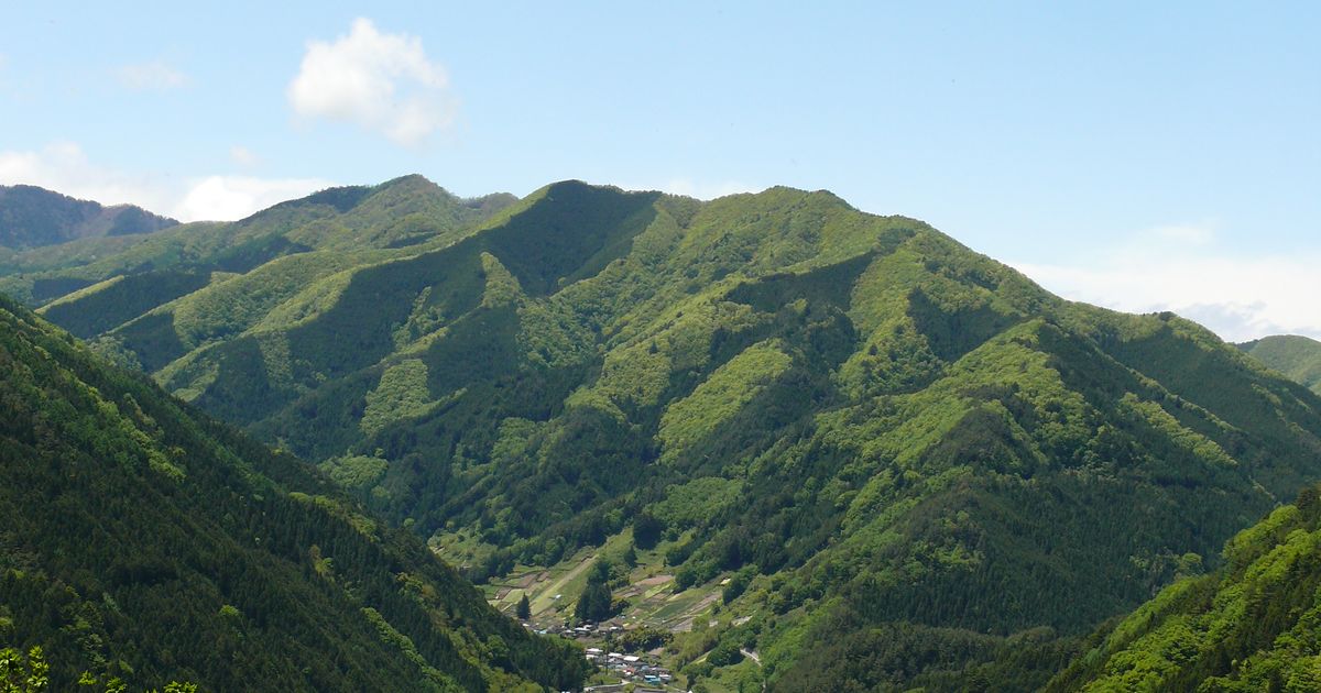 409-0211 山梨県北都留郡小菅村 その他 山梨県北都留郡小菅村池之尻４３８３ セール １ 小菅フィッシングビレッジ